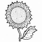 Sunflower Coloring Pages Drawing Sunflowers Adults Gogh Van Line Color Seed Drawings Sheets Printable Young Getdrawings Template Print Sheet Seeds sketch template