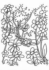 Flowers Coloring Pages Printable Blooming Beautiful sketch template