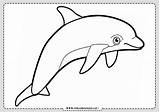 Delfin Delfines Animales Gratis Rincon Rincondibujos Visitar sketch template
