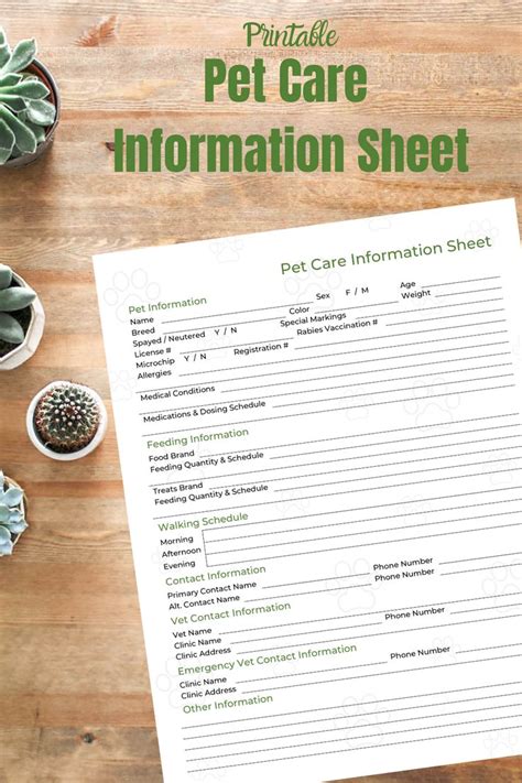 printable pet care information sheet pets pet sitters pet care