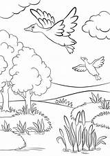 Coloring Grassland Forest Pages Duck Getcolorings Animals sketch template