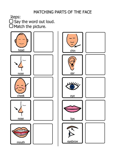matching body parts  matching face  teaching resources