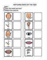 Parts Body Matching Face Pages Science Write Cards Teaching Quick Able2learn sketch template