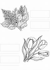 Coloring Flowers Markers Copic sketch template
