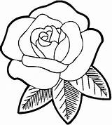 Rose Coloring Bud Pages Getcolorings Color sketch template