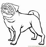 Pug Coloring Pages Dogs Online Printable Outline Printables Thecolor Color Animals Dog Colouring Pugs Activities Clipart Puppy Cute Puppies Pig sketch template