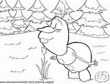 Coloring Olaf Pages Frozen Disney Popular sketch template
