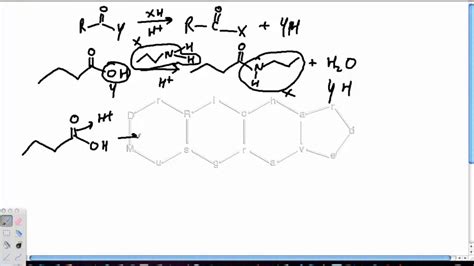 amidation  carboxylic acids youtube