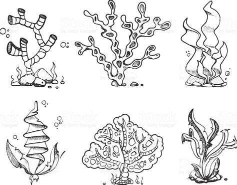 ocean plants coloring pages sketch coloring page