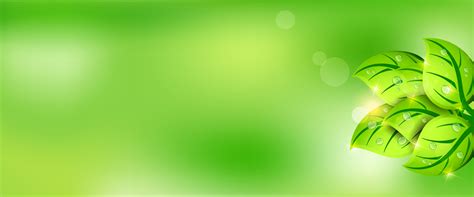 wallpaper hijau muda   background hijau muda islami gratis