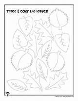 Preschool Fall Practice Autumn Leaves Worksheets Trace Activities Color Kids sketch template