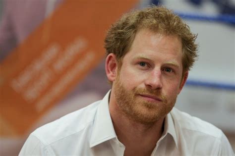 prince harry    blame   controversial decision