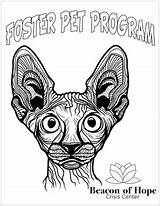 Coloring Pages Boh Pdf sketch template
