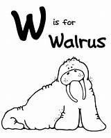 Walrus Alphabet Coloringme Ida Taska Ummi sketch template