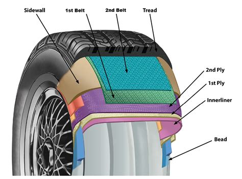 car tire diagram blank