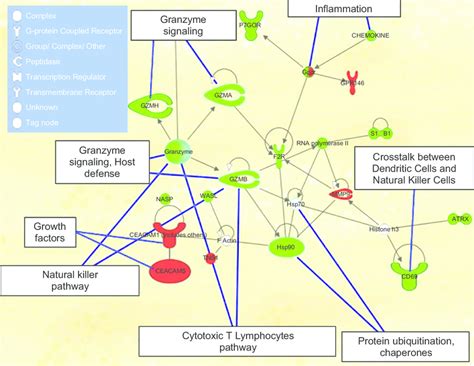 connectivity map  interactions  genes differently expressed