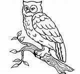 Owl Barn Coloring Coloringcrew sketch template