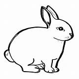 Hase Hasen Kaninchen Malvorlagen sketch template
