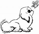 Cute Puppy Coloring Pages Dog Printable Getcoloringpages Print sketch template