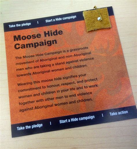 moose hide campaign  great response ammsacom