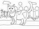 Katze Katzen Ausmalbild Malvorlage Kostenlose sketch template