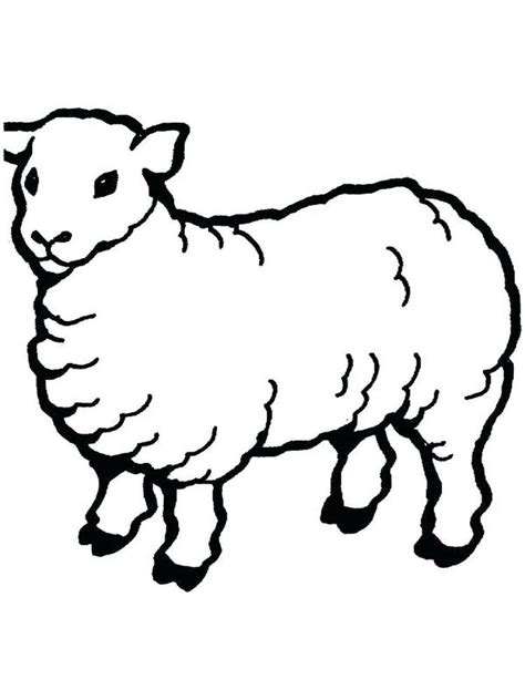 sheep face coloring pages sheep     ruminants   source