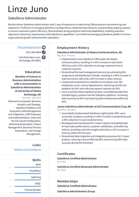 salesforce administrator resume examples  templates