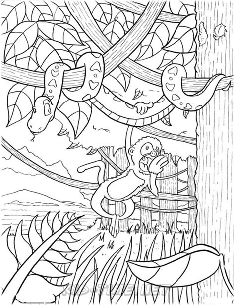 brazil rainforest animals sheets coloring pages