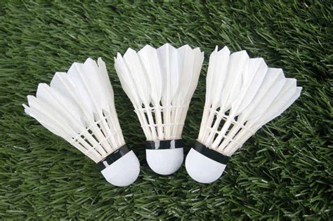 shuttlecock recommendations latest