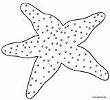 Starfish Seestern Cool2bkids Print Preschoolers sketch template