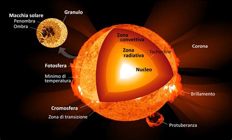 alla scoperta della struttura del sole  fatto   funziona