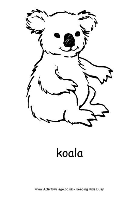 koala colouring page    kids pinterest