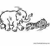 Tiger Coloring Chasing Animals Surfnetkids Elephant Pages Tigers sketch template