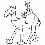Camel Coloring Riding Pages Man Arabic Kid Printable Naughty sketch template