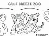 Breeze Gulf sketch template