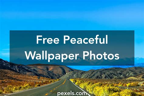 interesting peaceful wallpaper  pexels  stock