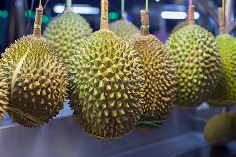 durian frucht stockfoto bild von asien nahrungsmittel