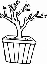Coloring Trunk Tree Bonsai Clipart Branch Outline Template Drawing Pot Cliparts Trunks Kids Clipartbest Pages Good Color Clip sketch template