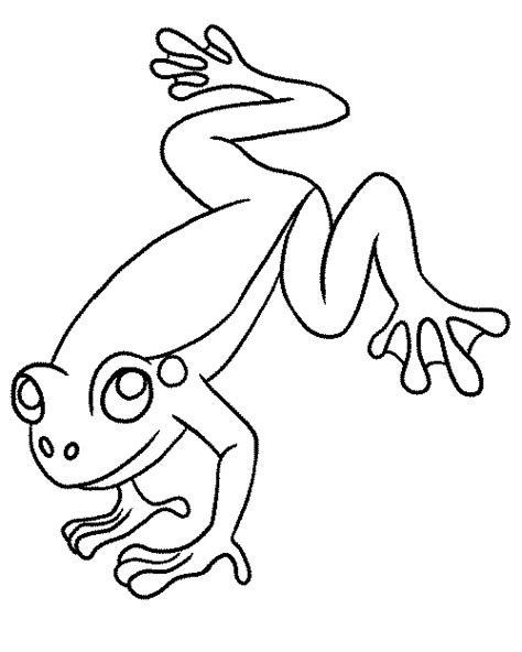 frog coloring pages  ad find deals  craft sets   year olds