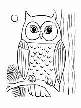Owl Coloring Pages Owls Baby Simple Adult Cute Drawing Kids Cool Printable Flying Colouring Color Sheet Big Print Getdrawings Getcolorings sketch template