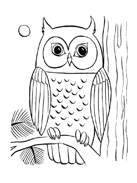 simple owl coloring pages bestappsforkidscom