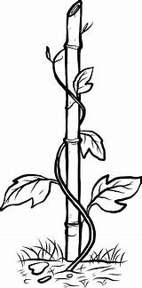Plant Climbing Clipart Clip Vector Clipground Color Bamboo Illustration sketch template