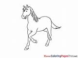 Stallion sketch template