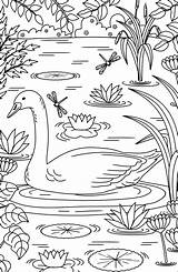 Coloring Pages Adult Swan Sellfy Sold Kids Color Tableau Choisir Un sketch template