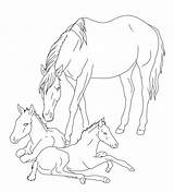 Coloring Horse Pages Realistic Foals Mare Foal Color Drawing Horses Lineart Print Pony Printable Ponies Rocks Baby Colouring Two Sketch sketch template
