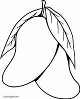 Mango Mangoes Coloringall Leafs sketch template