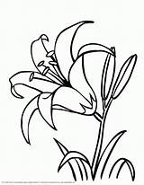 Coloring Pages Crayola Online Popular Flower sketch template
