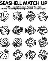 Coloring Seashell Pages Sea Shell Match Shells Crayola Seashells Matching Print Spring Color Au Gemerkt Von sketch template