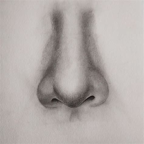 draw nose front view lovarts easy drawing techniques