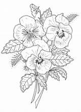 Flower Pansy Drawing Coloring Pages Designs Tattoo Pansies Flowers Drawings Outline Patterns Adult Rubber Stamp Para Books Visit рисование перейти sketch template
